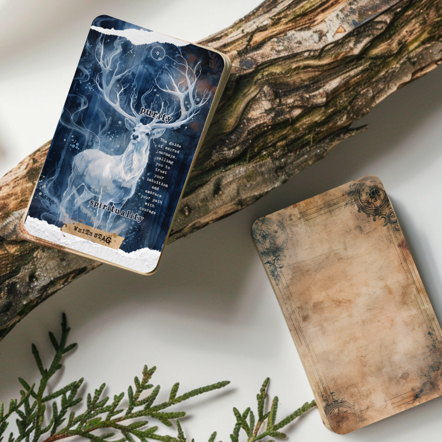 Scrapbook of Animal Spirit Oracle Deck displayed with nature elements such as wood, moss. A dreamy, mystical tool for connecting with spirit animals and uncovering inner wisdom through vibrant collage imagery. Perfect for those on a journey of self-discovery, shadow work, or inner healing.
